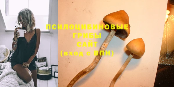 альфа пвп Беломорск