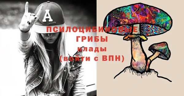 дурь Белоозёрский