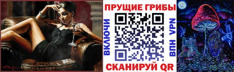 дарк нет Telegram  цены   Городище  Псилоцибиновые грибы GOLDEN TEACHER  ОМГ ОМГ ссылки 